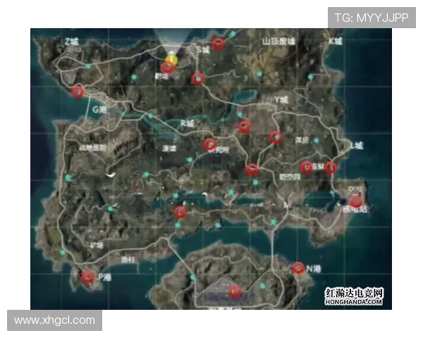 揭秘和平精英成功背后的故事与杨敏的独特见解